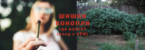 jwh Новозыбков