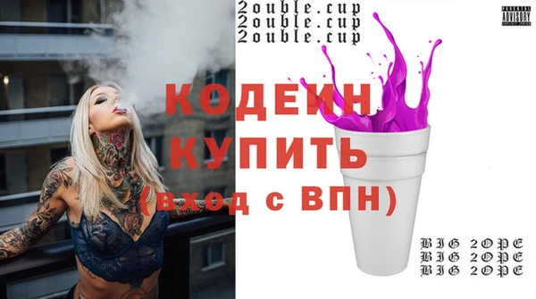 индика Новодвинск