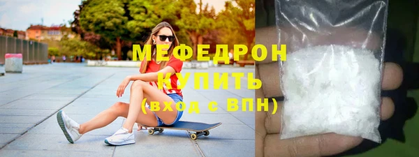 индика Новодвинск