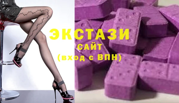 индика Новодвинск