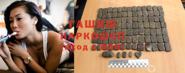 индика Новодвинск