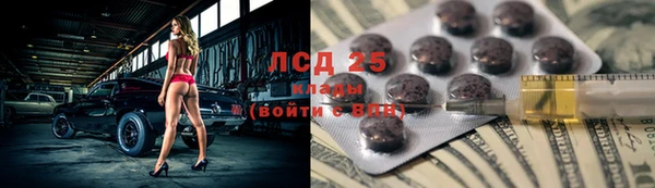 индика Новодвинск