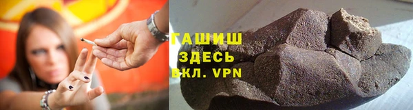 индика Новодвинск