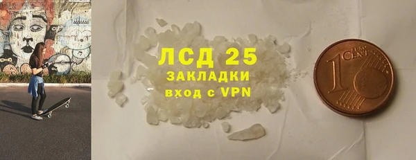индика Новодвинск