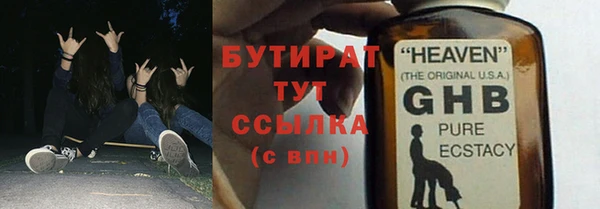 индика Новодвинск
