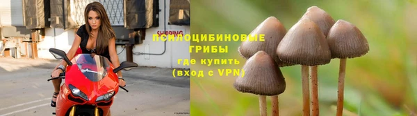 первитин Новокубанск