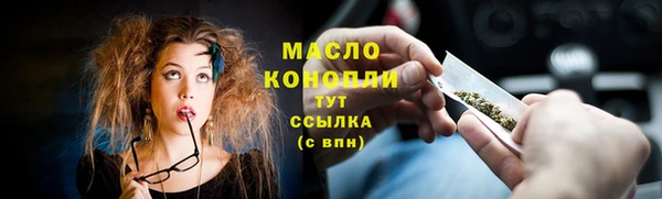 индика Новодвинск