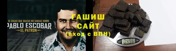 индика Новодвинск