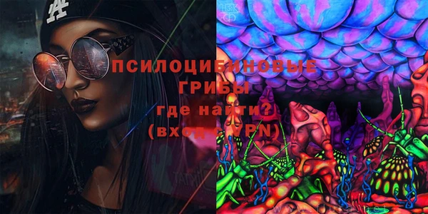 jwh Новозыбков