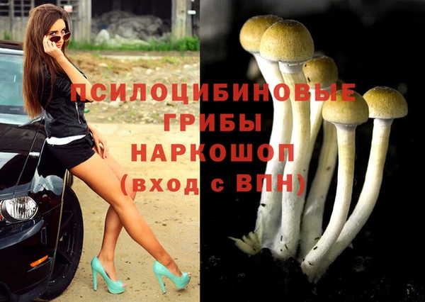 первитин Новокубанск