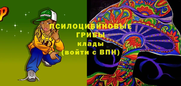 индика Новодвинск