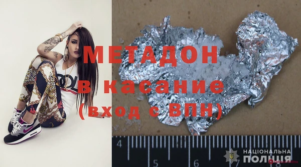 индика Новодвинск