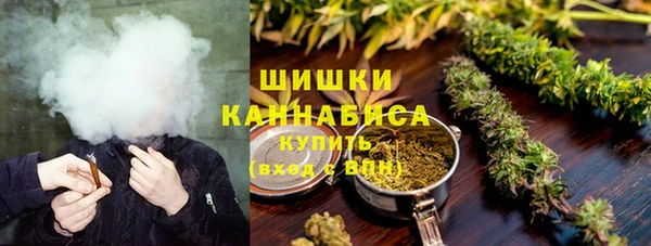 индика Новодвинск