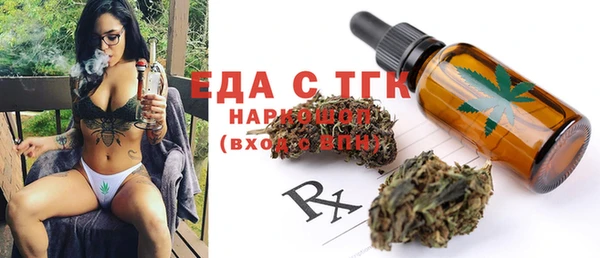 индика Новодвинск