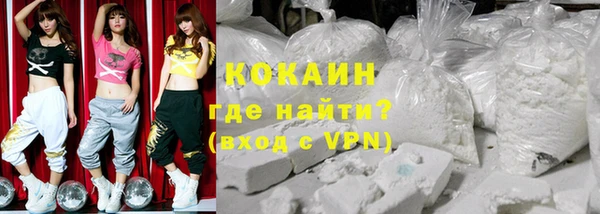 индика Новодвинск