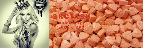 индика Новодвинск
