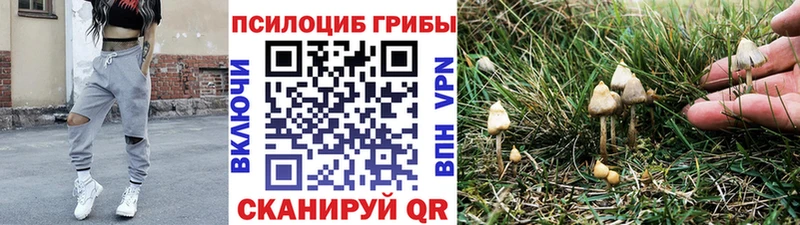 Псилоцибиновые грибы GOLDEN TEACHER  Северобайкальск 